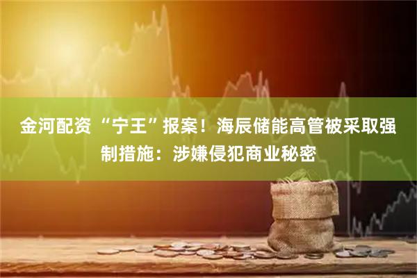 金河配资 “宁王”报案！海辰储能高管被采取强制措施：涉嫌侵犯商业秘密