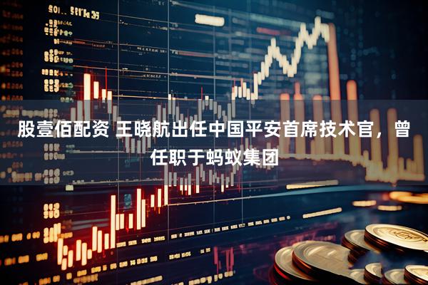 股壹佰配资 王晓航出任中国平安首席技术官，曾任职于蚂蚁集团