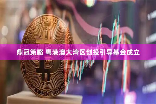 鼎冠策略 粤港澳大湾区创投引导基金成立