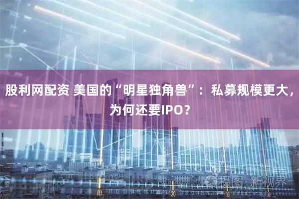 股利网配资 美国的“明星独角兽”：私募规模更大，为何还要IPO？