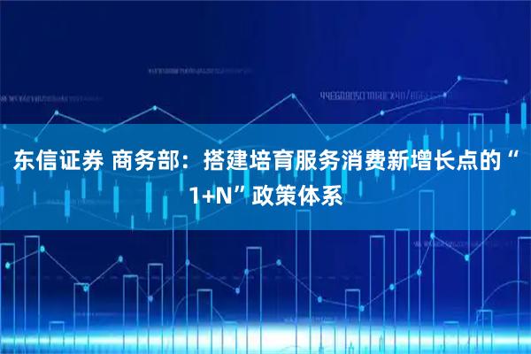东信证券 商务部：搭建培育服务消费新增长点的“1+N”政策体系